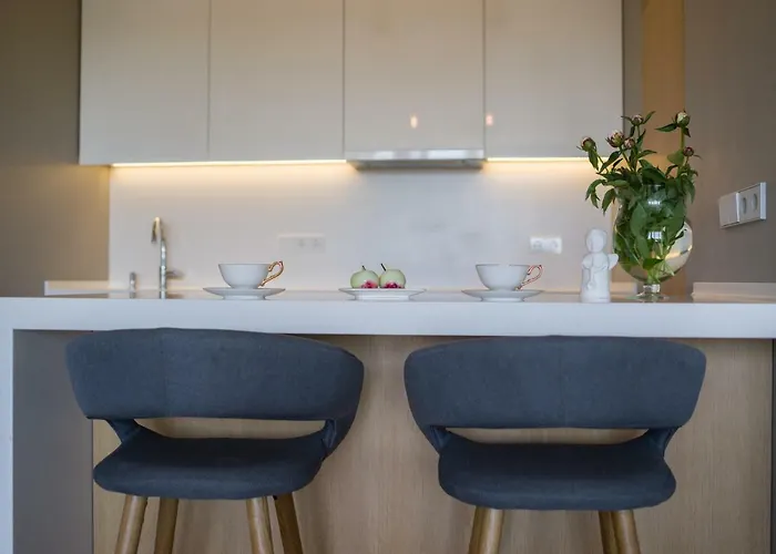 Apartament Penthouse Druskieniki