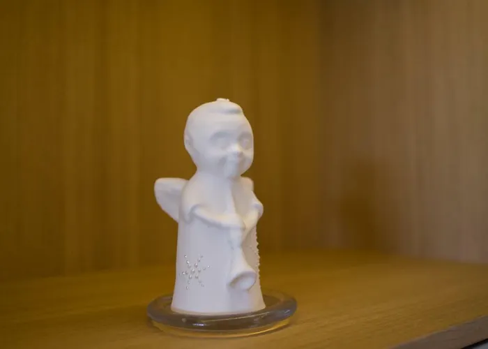 Apartament Penthouse Druskieniki